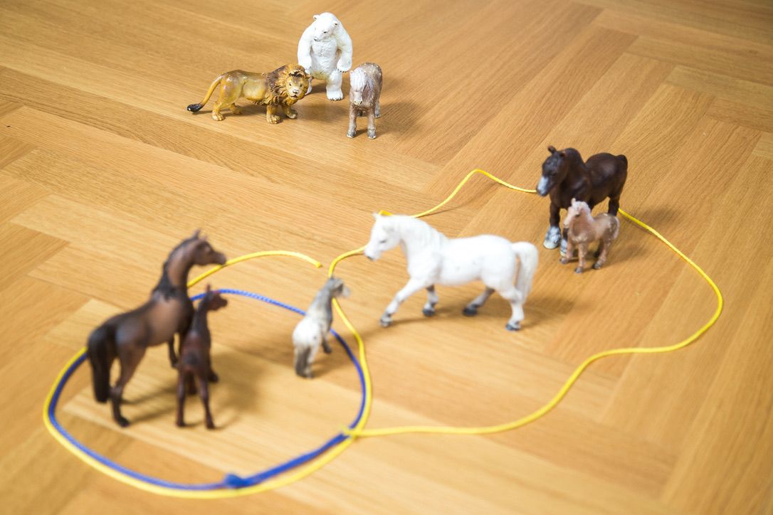 Supervision mit Symbolaufstellungen, Rollentausch und Psychodrama – komplexe Situationen sichtbar machen, neue Handlungsmöglichkeiten entwickeln und berufliche Herausforderungen reflektieren